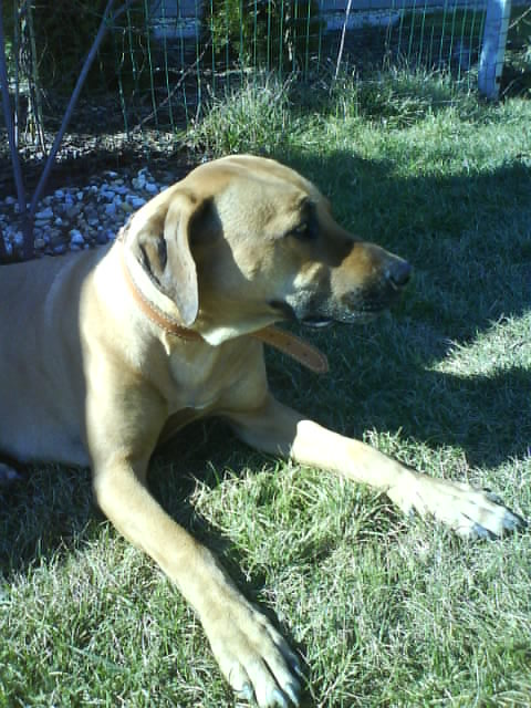 DSC00064.JPG