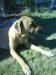 DSC00064.JPG