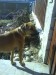 DSC00089.JPG