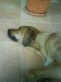 DSC00163.JPG