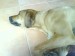 DSC00164.JPG